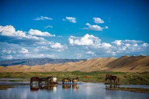 Самобытная Монголия