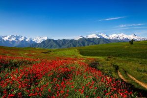 Горные хребты Тянь-Шань, прохладное озеро Иссык-Куль - восточная красота Киргизии