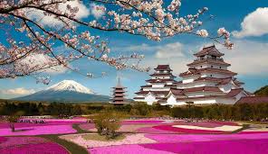 Аромат сакуры, зеркальные небоскребы и величественная гора Фудзи. Время покорять Японию